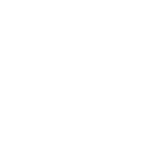 Cruise Ships