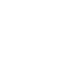 Ferries and Passenger Vessels